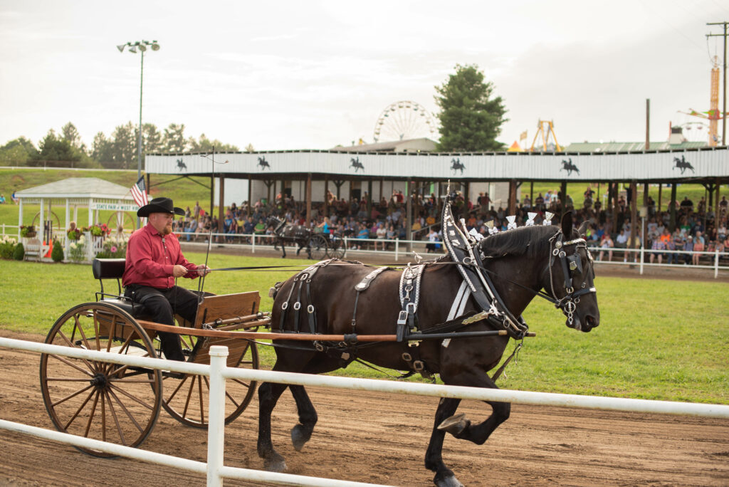Wv State Fair Rodeo Equine | State Fair of West Virginia