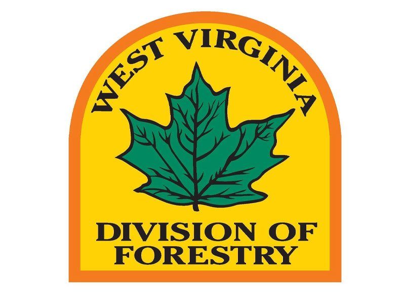WV-Division-of-Forestry
